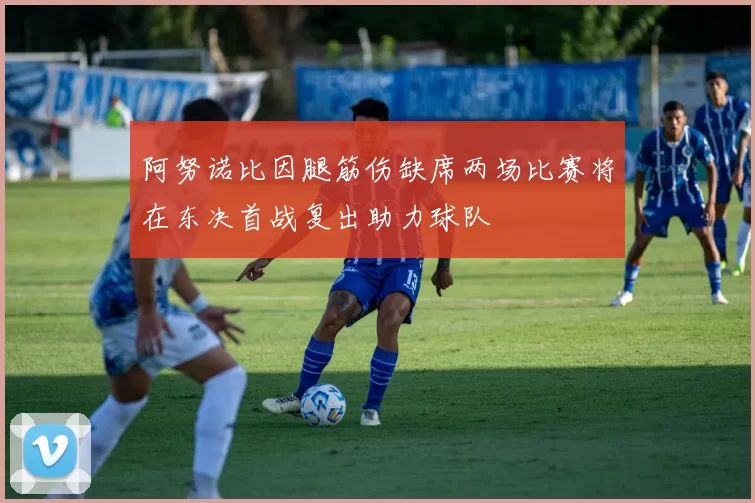 阿努诺比因腿筋伤缺席两场比赛将在东决首战复出助力球队